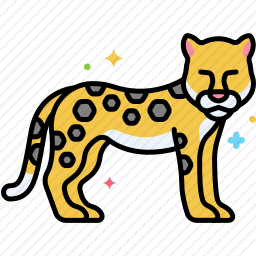黑豹
