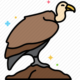 秃鹫