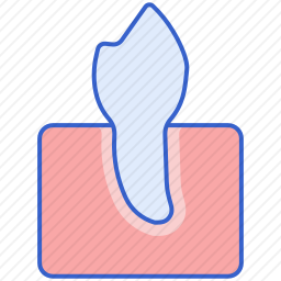 <em>牙齿</em>
