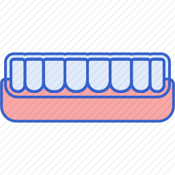 <em>牙齿</em>