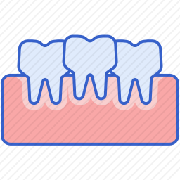 <em>牙齿</em>