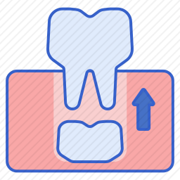 <em>牙齿</em>