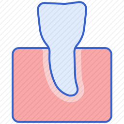 <em>牙齿</em>