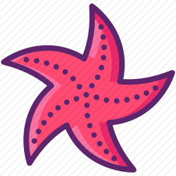 海星
