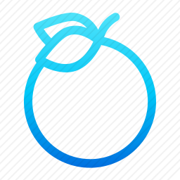 <em>橙子</em>