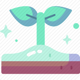 植物