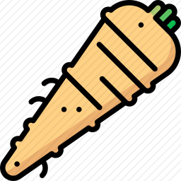 <em>蔬菜</em>