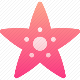 海星