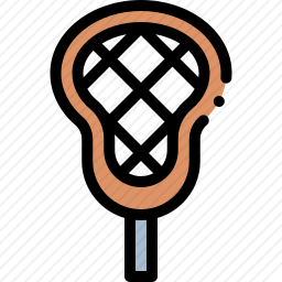 <em>曲棍球</em>