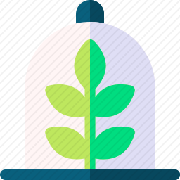 植物