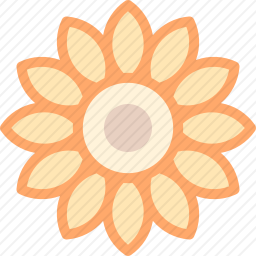 <em>向日葵</em>