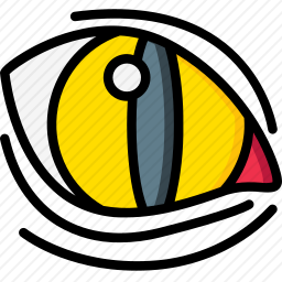 眼睛