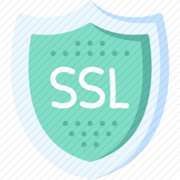 <em>SSL</em>