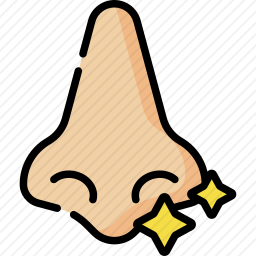 鼻子