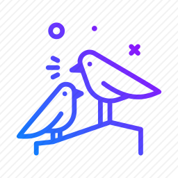 鸟