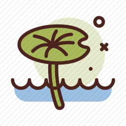 莲花