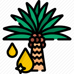 棕榈油