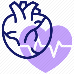 <em>心脏</em>