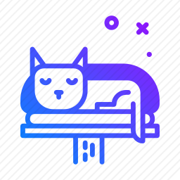 猫