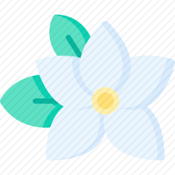 <em>茉莉</em>