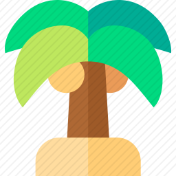 棕榈树