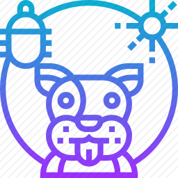 狗