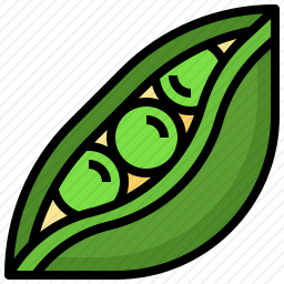豌豆