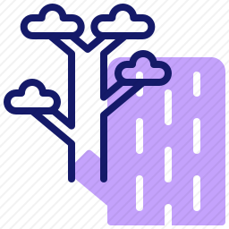 <em>桉树</em>