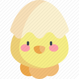 小鸡