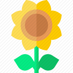 <em>向日葵</em>