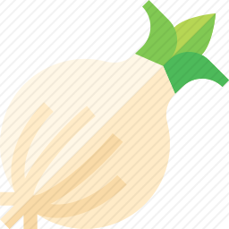 <em>洋葱</em>