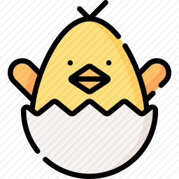 小鸡