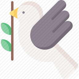 鸽子
