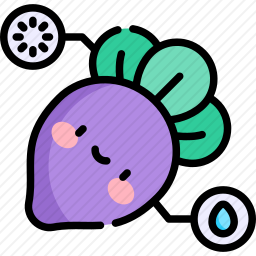 甜菜根