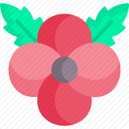 <em>花</em>