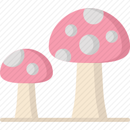 蘑菇
