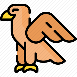 鹰