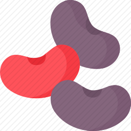 <em>豆</em>