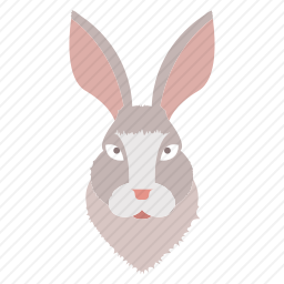 兔子