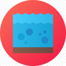 浮游生物