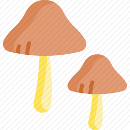 蘑菇