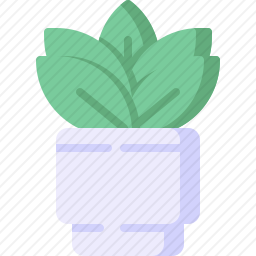植物