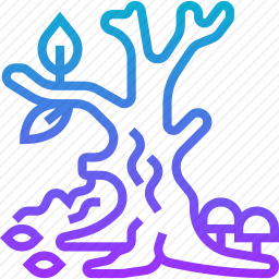 枯树
