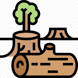 森林砍伐