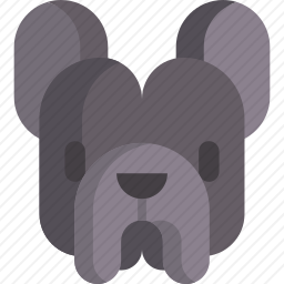 法国斗牛犬