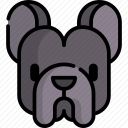 <em>法国</em><em>斗牛犬</em>