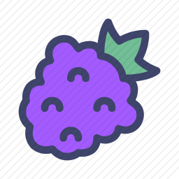 浆果
