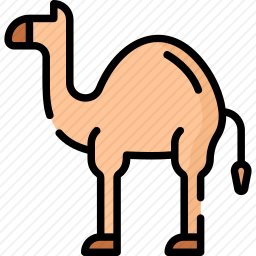 骆驼