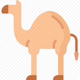 骆驼