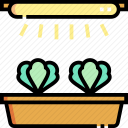 照明